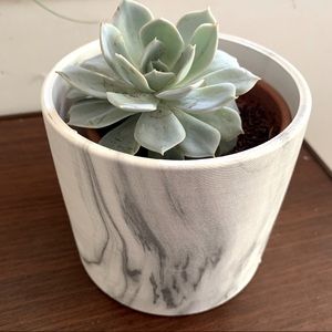 NEW Marble Anthropologie Ceramic Plant Pot Succulent